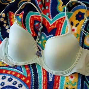 Body by VS Lined Demi